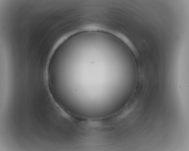 X0000114441191200910231312