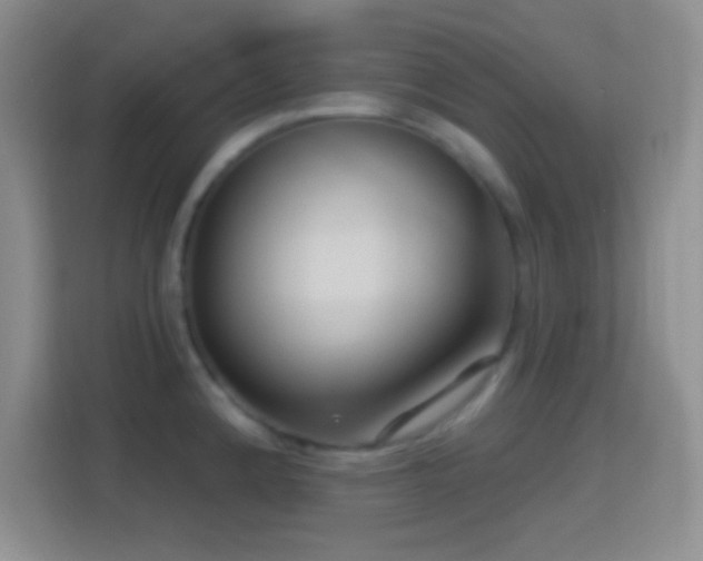 X0000114441192200910231312