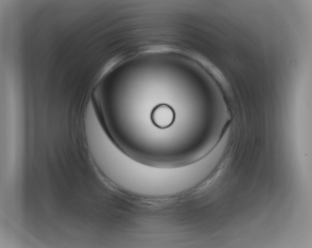 X0000114441193200910231312