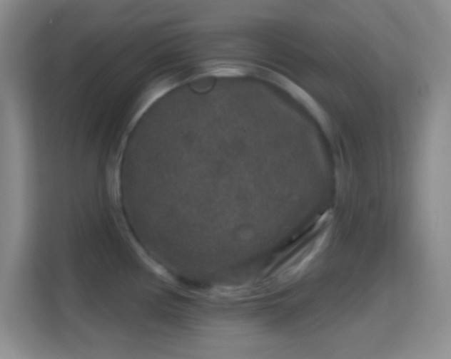 X0000114441194200910231312