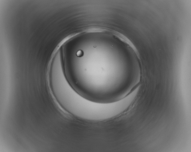 X0000114441195200910231312