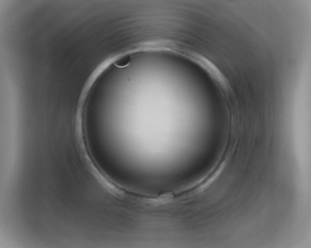 X0000114441196200910231312