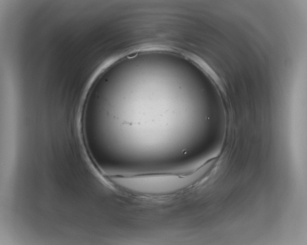 X0000114441197200910231312