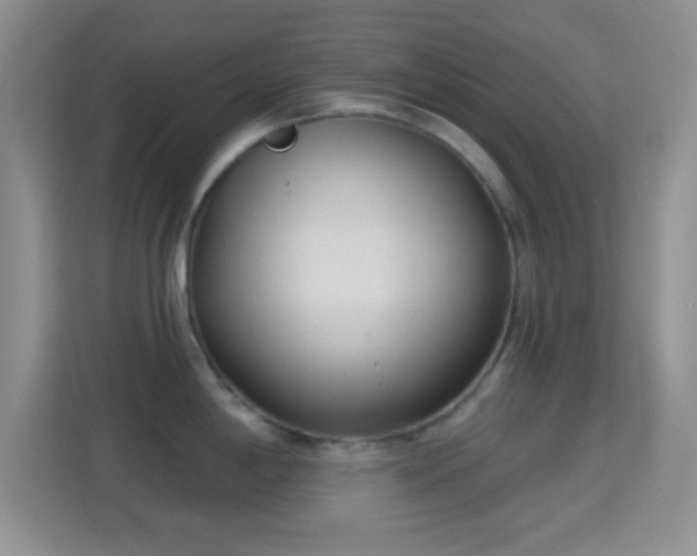 X0000114441198200910231312