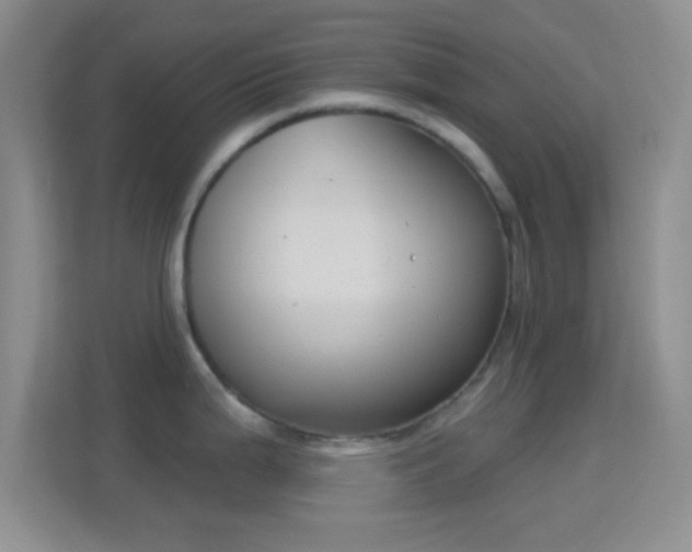 X0000114441199200910231312