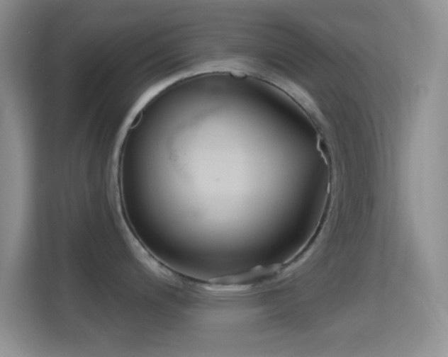 X0000114441200200910231312