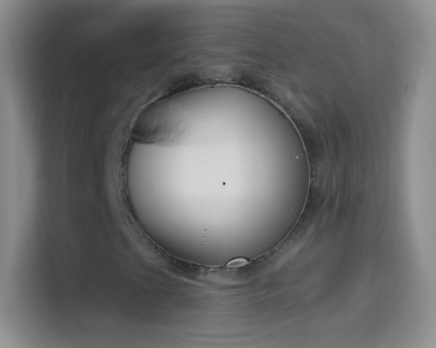 X0000114441201200910231311