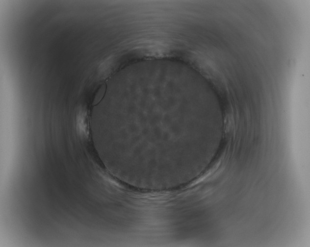 X0000114441202200910231311