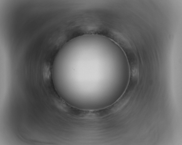 X0000114441204200910231311