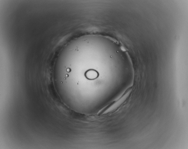 X0000114441205200910231311