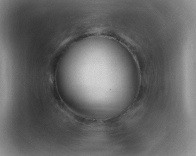 X0000114441206200910231311