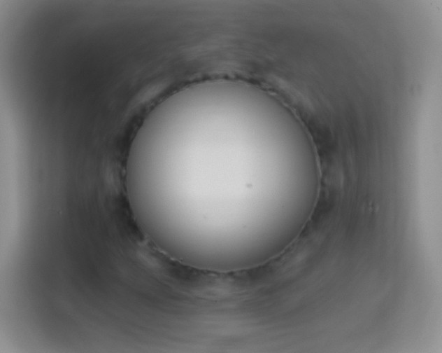 X0000114441207200910231311