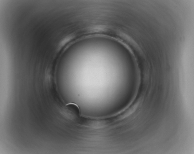 X0000114441210200910231311