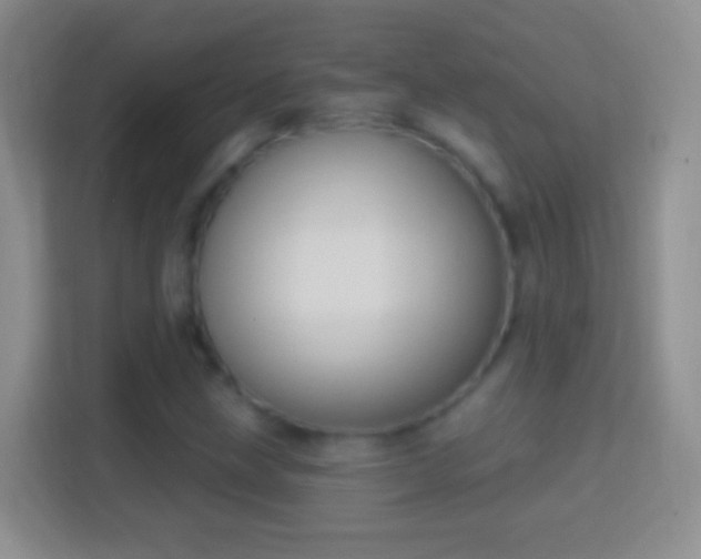 X0000114441211200910231311