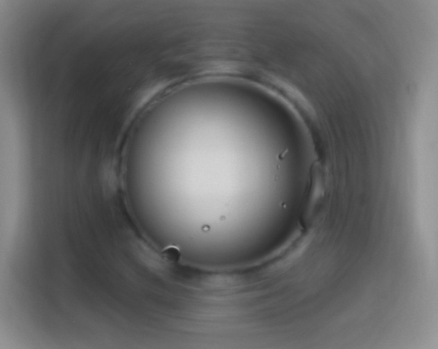 X0000114441212200910231311