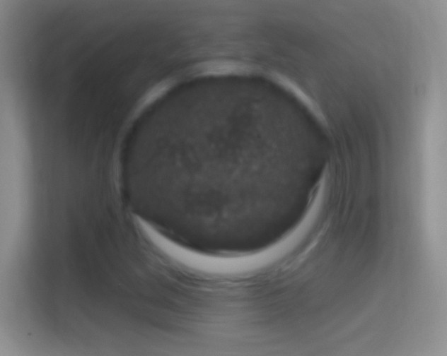 X0000114441213200910231311