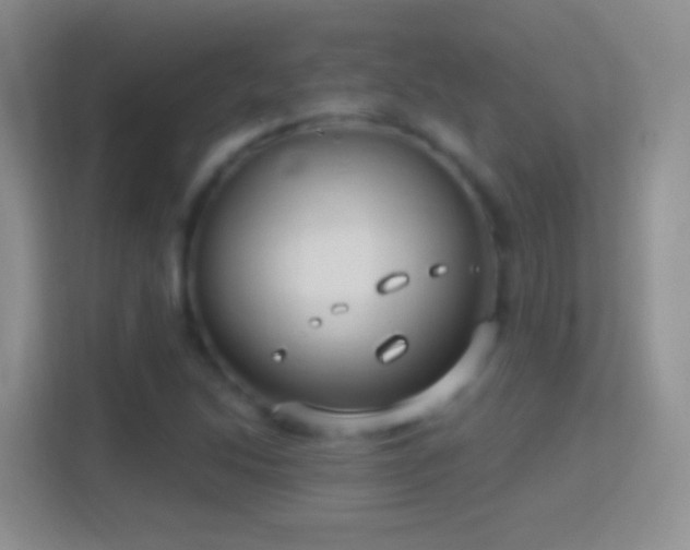 X0000114441214200910231311