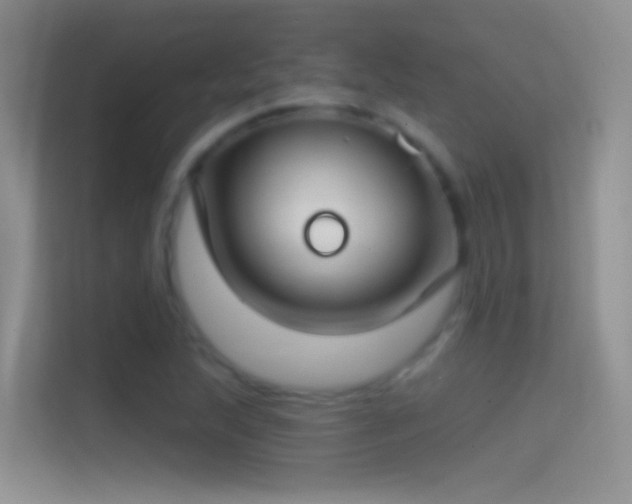 X0000114441215200910231311