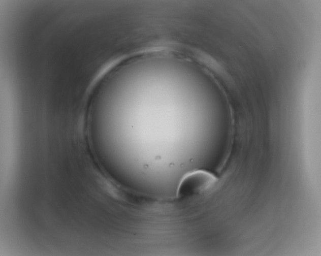 X0000114441216200910231311