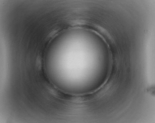 X0000114441217200910231311