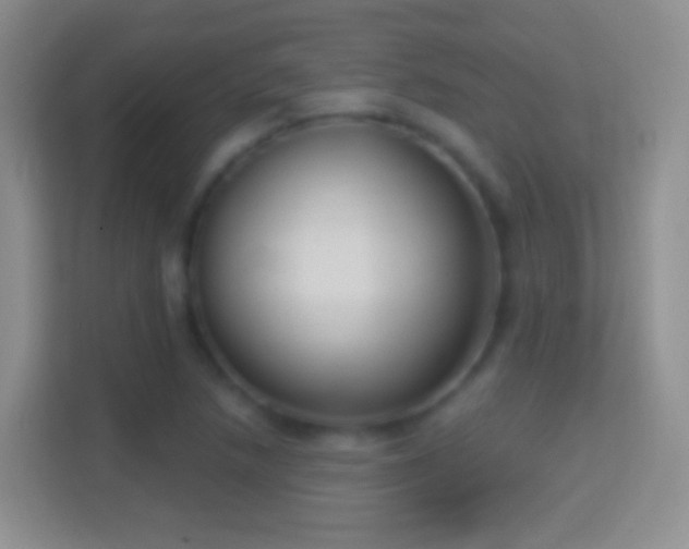 X0000114441218200910231311