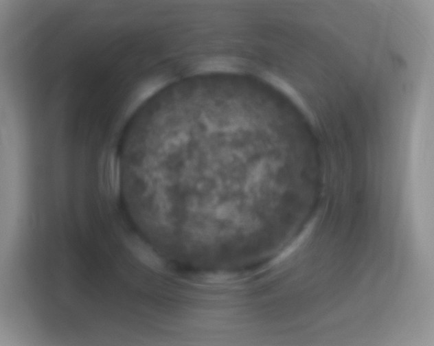 X0000114441219200910231311