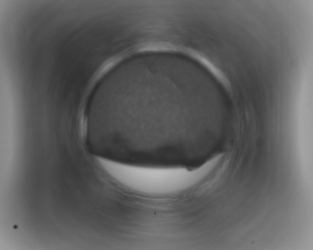 X0000114441221200910231311