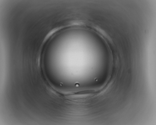 X0000114441222200910231311