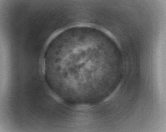 X0000114441223200910231311