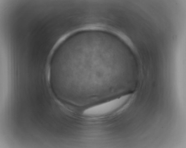 X0000114441224200910231311