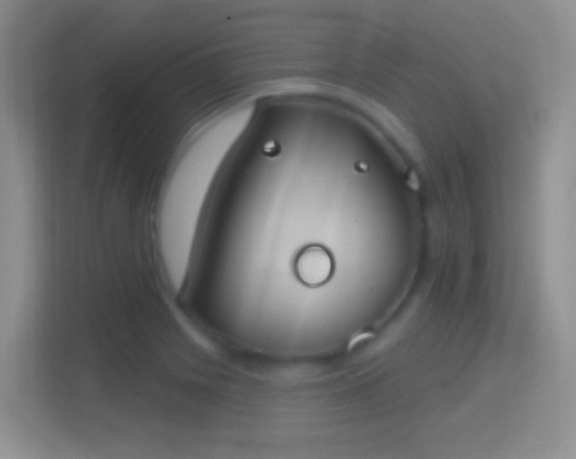 X0000114441225200910231311