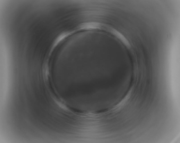 X0000114441226200910231311