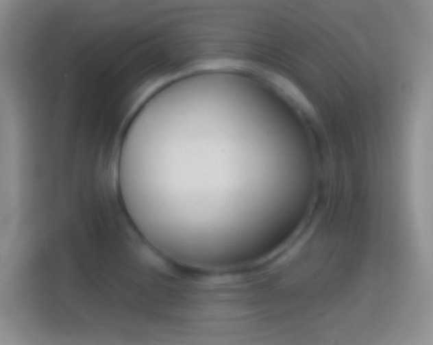 X0000114441228200910231312