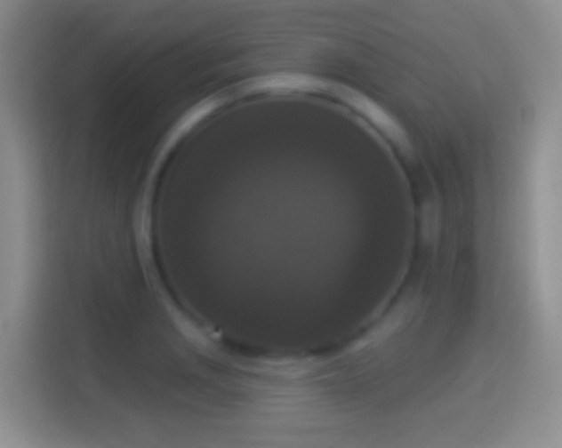 X0000114441229200910231312