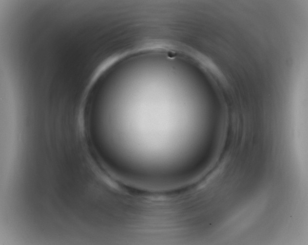 X0000114441230200910231312