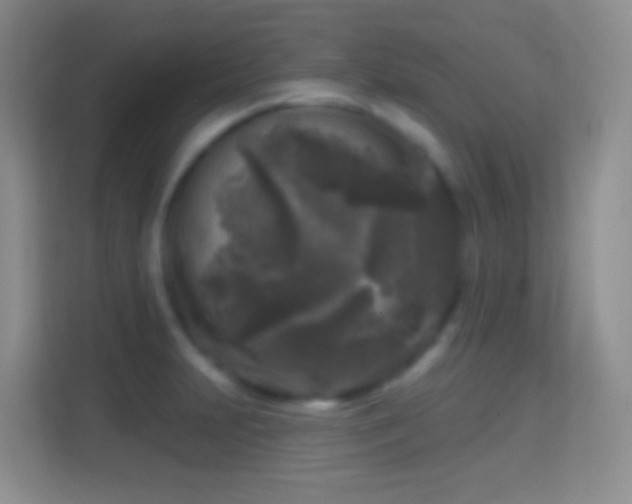 X0000114441231200910231312