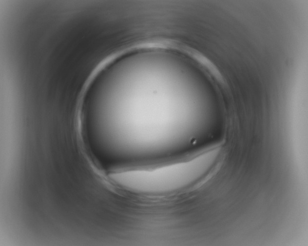 X0000114441232200910231312