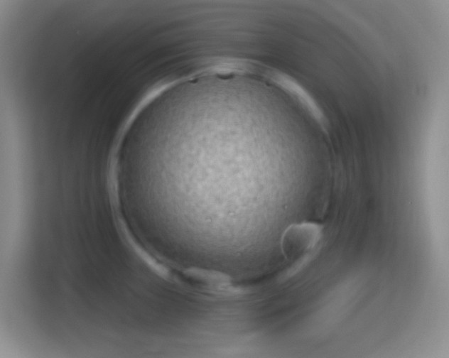 X0000114441235200910231312