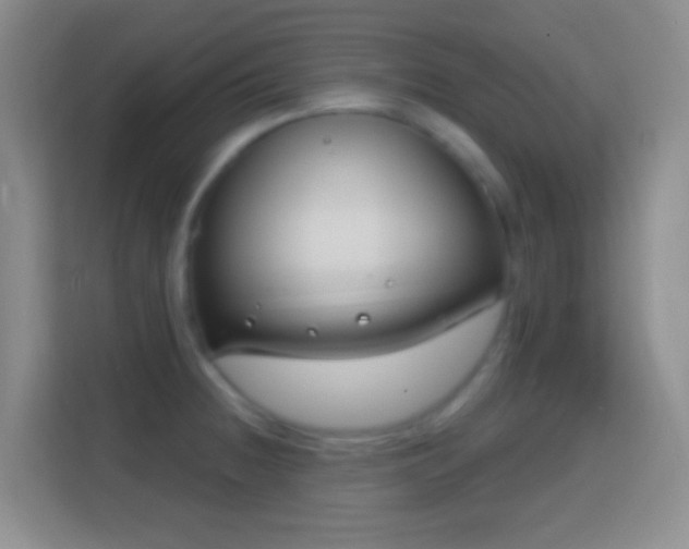 X0000114441236200910231312