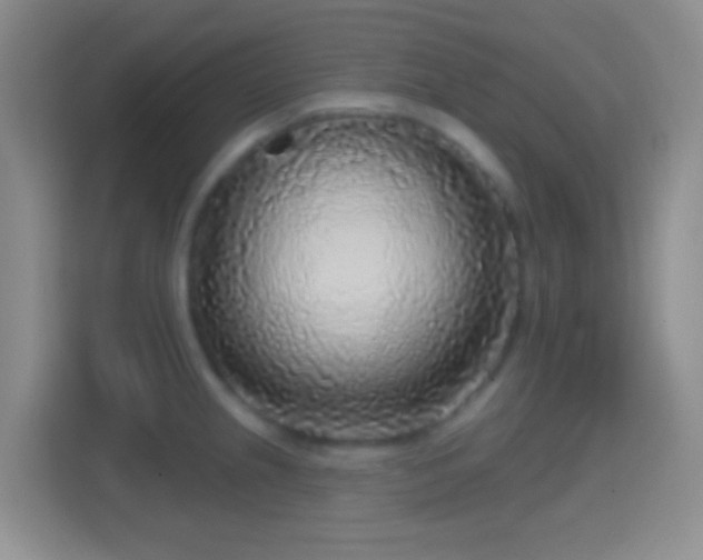 X0000114441237200910231312