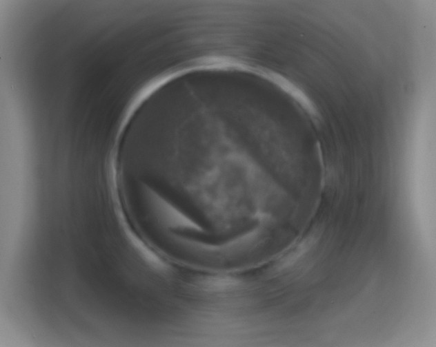 X0000114441239200910231312