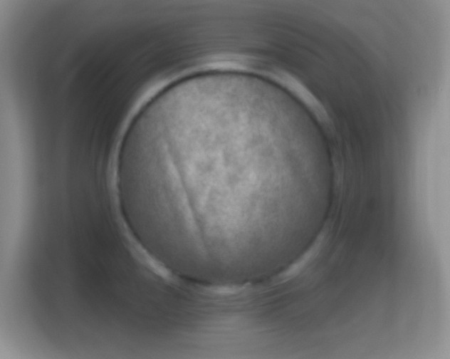 X0000114441240200910231312