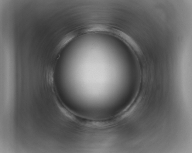 X0000114441241200910231312