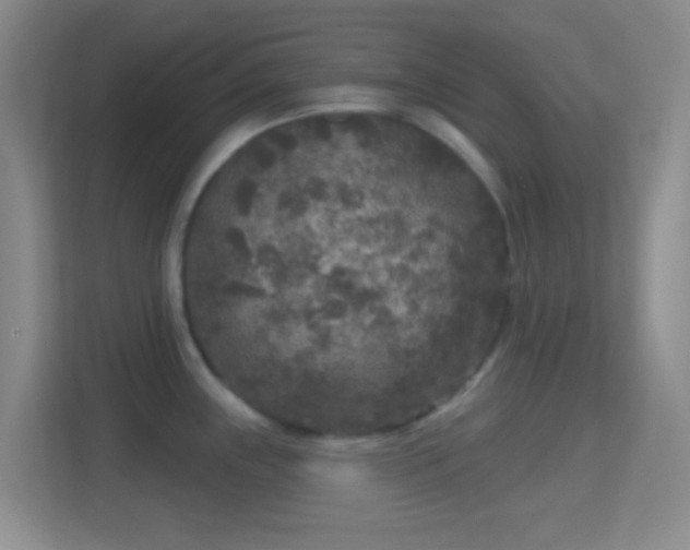 X0000114441243200910231312