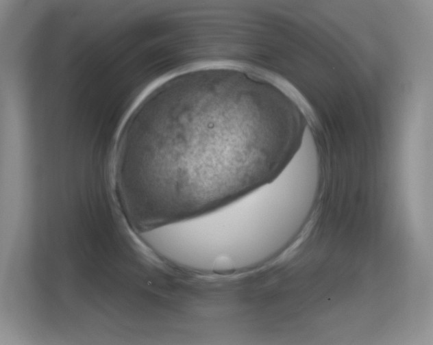 X0000114441244200910231312