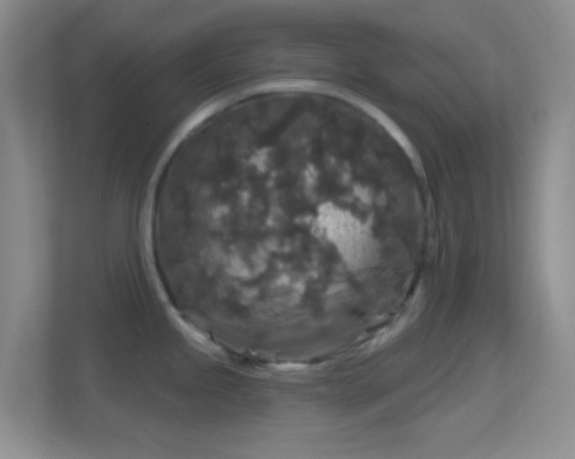 X0000114441245200910231312