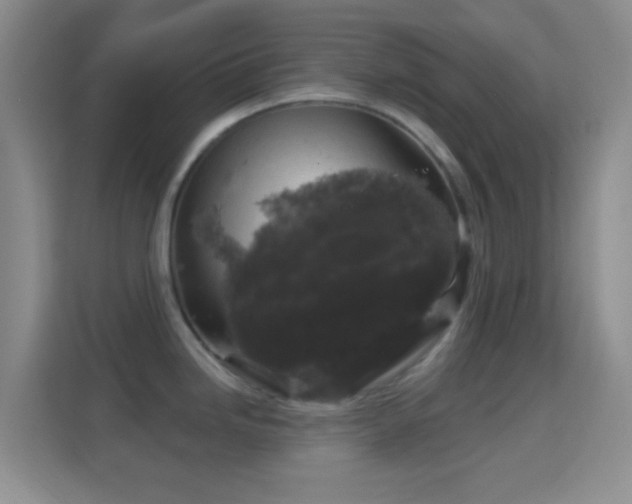 X0000114441246200910231312