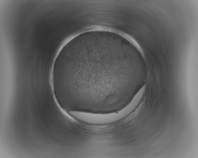 X0000114441247200910231312