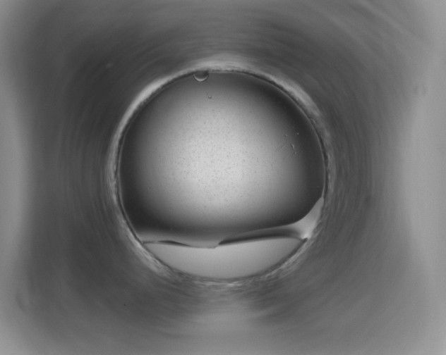 X0000114441248200910231312