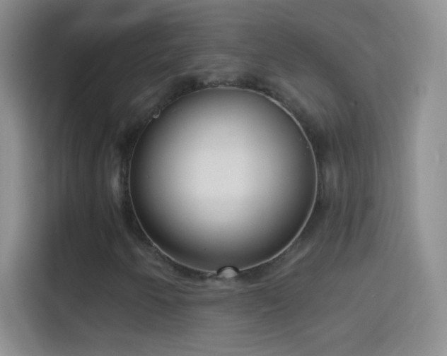 X0000114441250200910231311